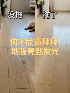 清理狗尿渍，地板瓷砖用对招！（地上狗的尿渍如何清理）