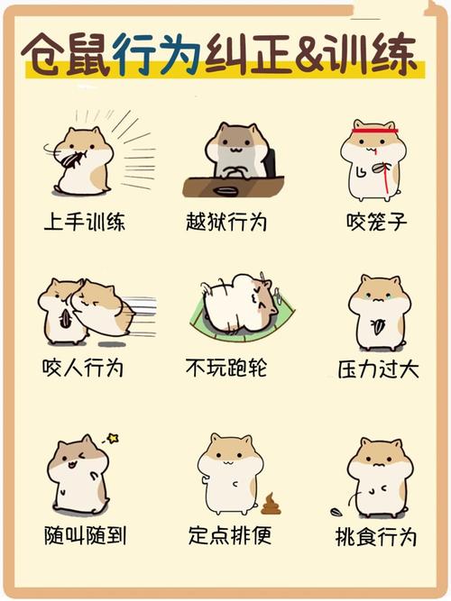 建立信任让伴侣更温顺(如何把人训练成一只听话宠物) 建立信任让伴侣更温顺(如何把人训练成一只听话宠物)