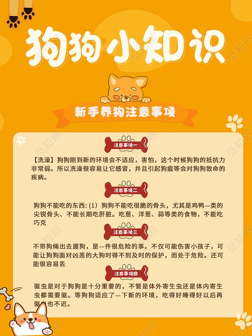 选狗前看空间运动量，健康性格要对，选只合拍的小伙伴！（挑选好狗要注意的事项）