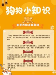 选狗前看空间运动量，健康性格要对，选只合拍的小伙伴！（挑选好狗要注意的事项）