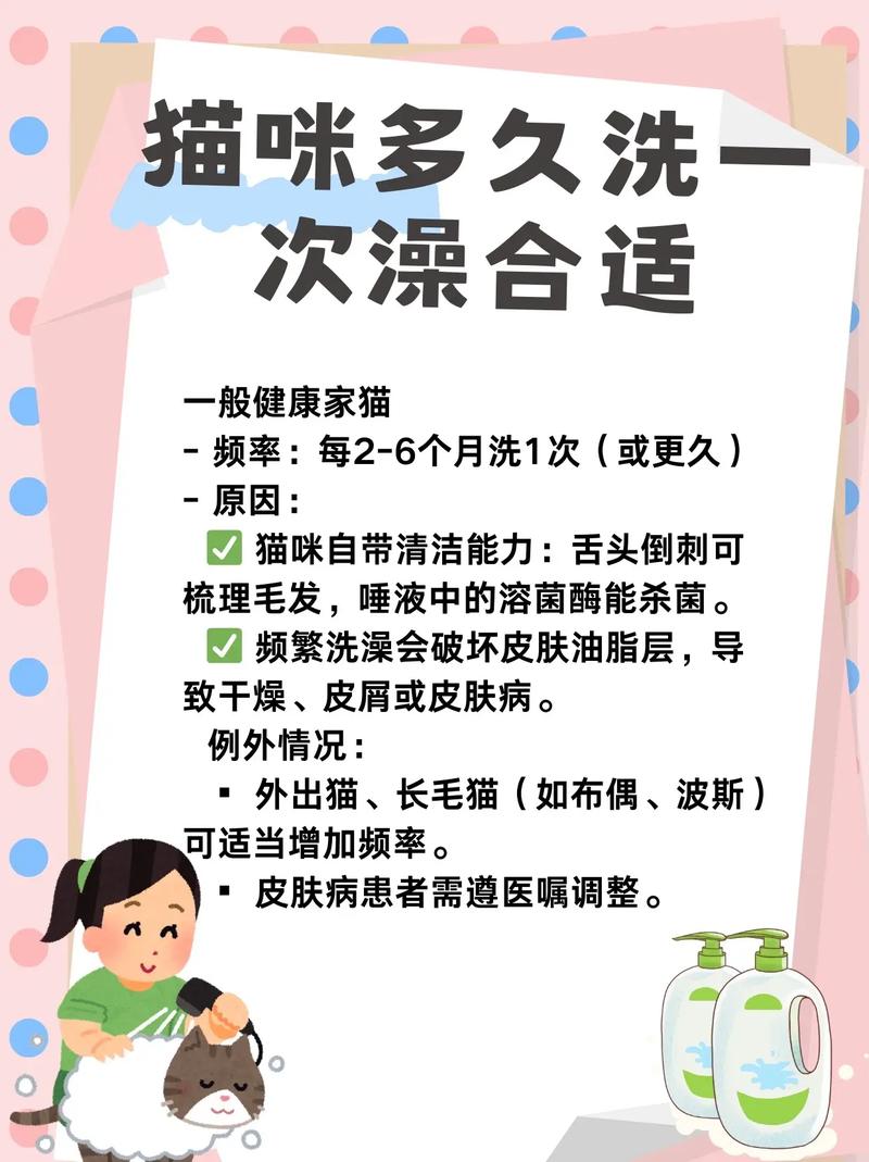 幼猫洗澡需2-4月大，速洗防损害（新出生的小猫多大可以洗澡了）