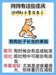 狗狗寄生虫症状与预防（狗狗有虫的10个表现）
