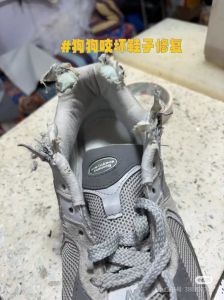 狗狗咬拖鞋怎么办？（狗狗咬鞋了怎么教训）