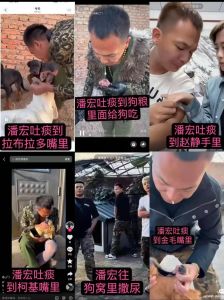 物化批判与自我觉醒（对夜场女的训狗模式的看法）