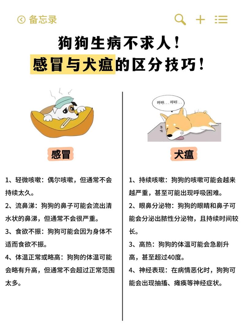 小狗感冒怎么办？保暖用药饮食要注意！（狗感冒最快的恢复方法）