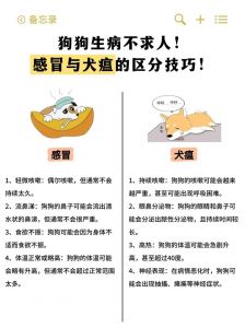 小狗感冒怎么办？保暖用药饮食要注意！（狗感冒最快的恢复方法）