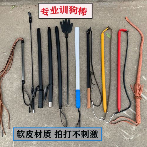 女子仿古戒尺教训犬反被咬哭笑不得（拿皮鞭训小狗）