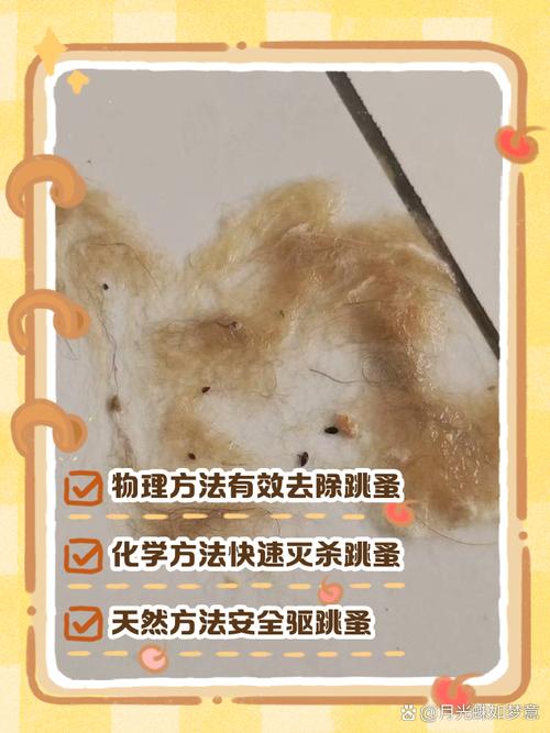 洗澡梳毛环境清洁综合防护(农村的狗多久洗一次不会有跳蚤) 洗澡梳毛环境清洁综合防护(农村的狗多久洗一次不会有跳蚤)