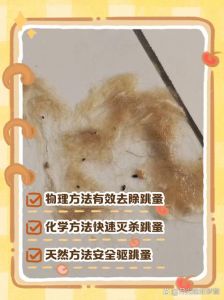 洗澡梳毛环境清洁综合防护（农村的狗多久洗一次不会有跳蚤）