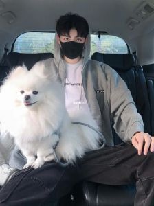 重生变小狗，旁观人性，守护真心（重生后我选择当小狗）