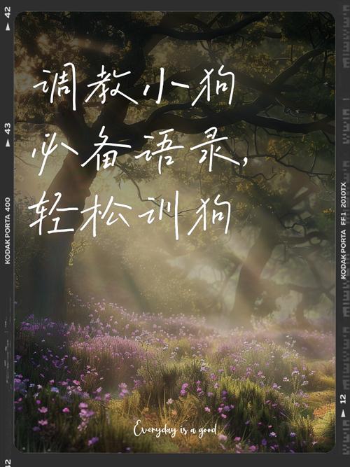 副总当狗训，职场沙雕风流行（高冷副总不听话让我当狗训一下）