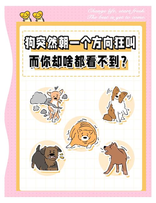 狗狗胆小爱叫？耐心引导帮它克服（狗狗老是胆小叫怎么办）
