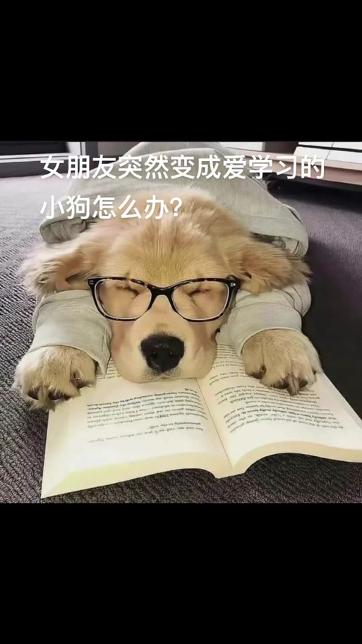 设定边界，尊重伴侣，健康亲密关系（怎么让女朋友调成听话的小狗）