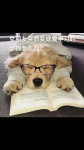 设定边界，尊重伴侣，健康亲密关系（怎么让女朋友调成听话的小狗）