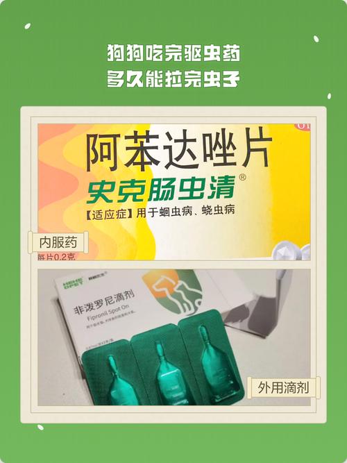 幼犬成犬驱虫，科学正确，保护爱宠健康！（狗多久需要驱一次虫）