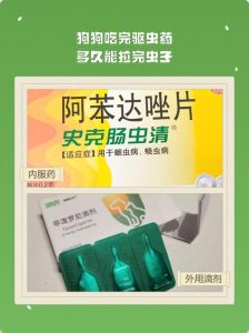 幼犬成犬驱虫，科学正确，保护爱宠健康！（狗多久需要驱一次虫）