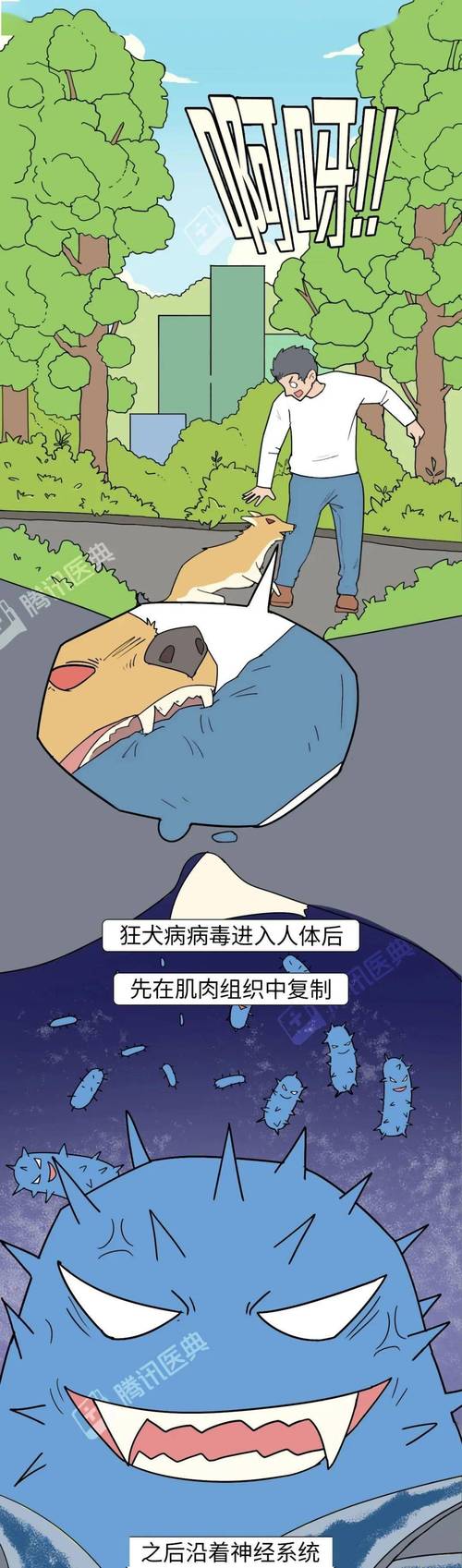 忌辛辣海鲜，多吃清淡营养品（被狗咬了10大忌）