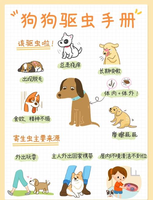 小狗驱虫时间及频率（小狗多久驱虫第一次）