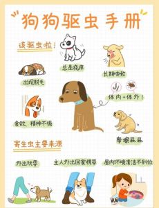 小狗驱虫时间及频率（小狗多久驱虫第一次）