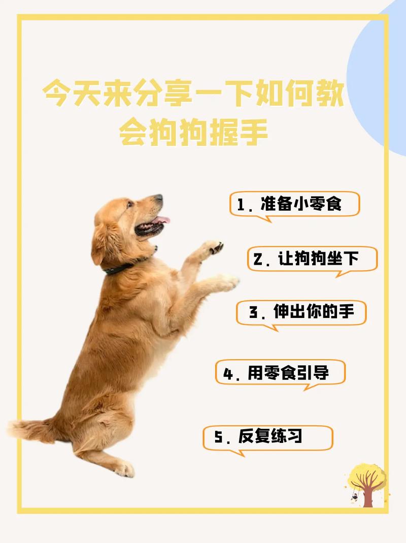 选对狗狗用心教,友好相处感情好(和狗友好相处的技巧) 选对狗狗用心教,友好相处感情好(和狗友好相处的技巧)