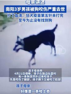 别打狗，会变坏，伤感情（小狗被打了之后好几天不亲人）