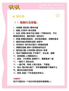 慢互动，建信任，有耐心（小狗胆小不亲人怎么办）