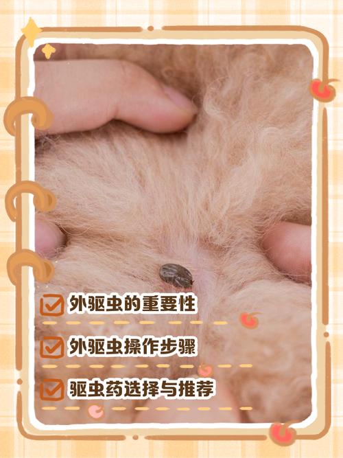 夏季防犬寄生虫，定期驱虫保健康！（狗狗从来没驱虫）