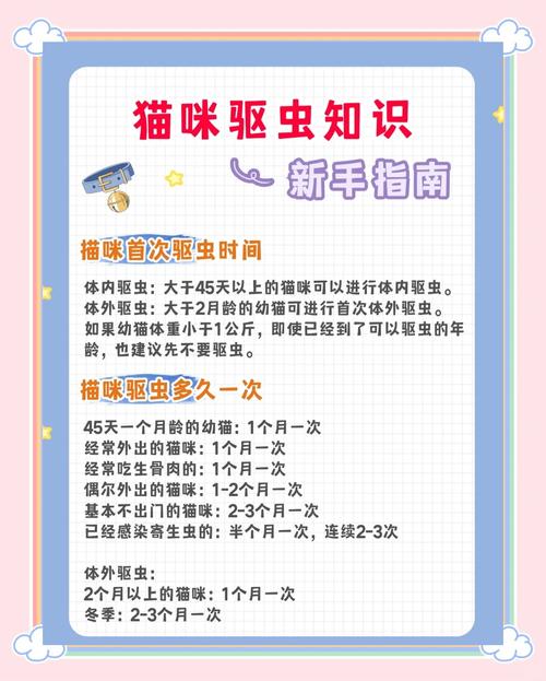春季夏季勤给猫驱虫，幼猫多猫要调整，科学喂养保健康（小猫咪驱虫多久一次）