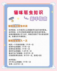 春季夏季勤给猫驱虫，幼猫多猫要调整，科学喂养保健康（小猫咪驱虫多久一次）