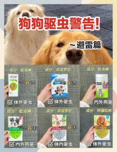 崇二驱虫片，科学配方，有效驱杀猫狗多种寄生虫（狗狗驱虫用崇二好吗）
