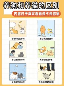 2-3月敏感期，耐心训练小猫咪（猫能像狗一样顺从吗）
