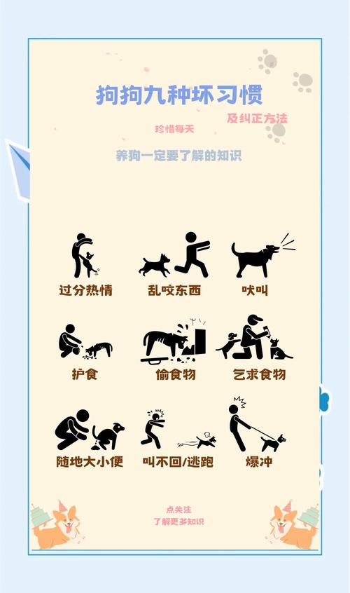 正向引导，避免体罚（惩罚小狗的最佳方法是什么）