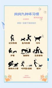 正向引导，避免体罚（惩罚小狗的最佳方法是什么）