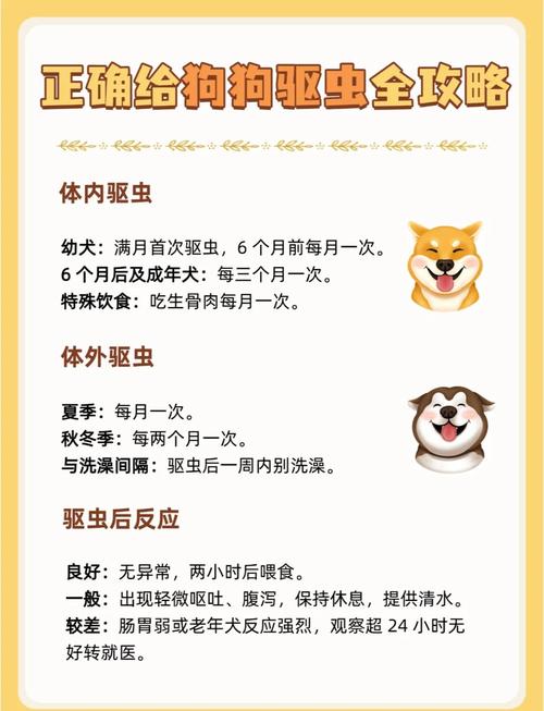 多种方法驱赶狗，安全和谐共处（驱狗最快最有效的方法）