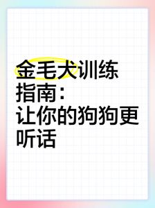 零食表扬耐心教（怎么训练小狗狗听话）