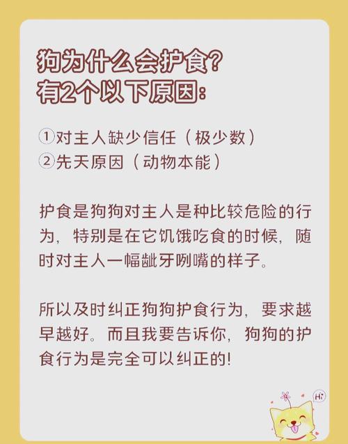 狗狗慢食碗，吃快用慢食，健康好习惯（狗狗吃饭太快怎么办）
