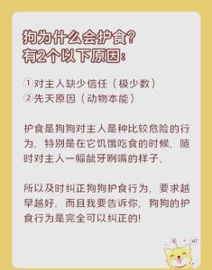 狗狗慢食碗，吃快用慢食，健康好习惯（狗狗吃饭太快怎么办）