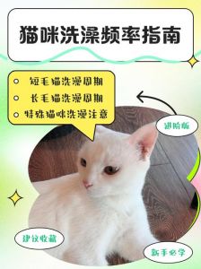 猫咪洗澡频率因品种毛发状况而异（小猫一般多久洗一次澡）