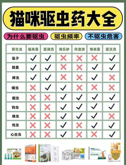 按时驱虫保健康（小猫多久需要驱虫一次）