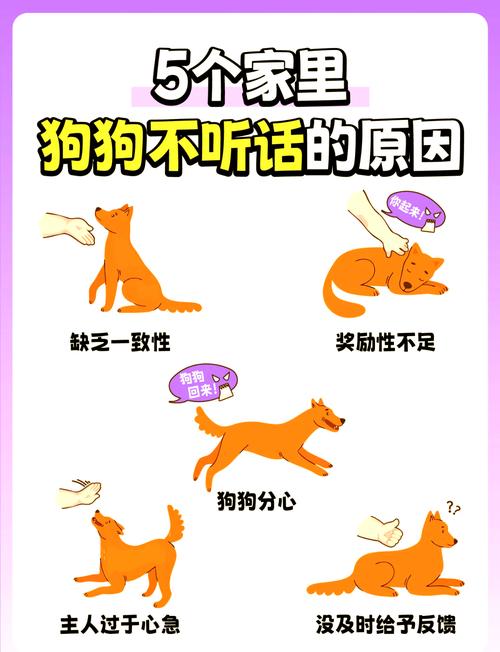 狗狗被打伤心理恢复慢，耐心重建信任很重要（把狗狗打的不听话了多久会恢复）