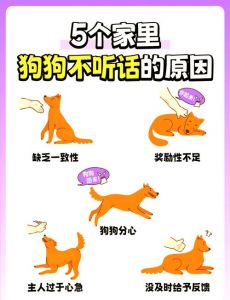 狗狗被打伤心理恢复慢，耐心重建信任很重要（把狗狗打的不听话了多久会恢复）