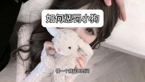 狗狗犯错？适度惩罚助其反思，勿过度（线上惩罚小狗人有什么方法）