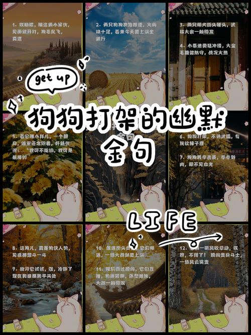 狗狗打架怎么办？安全拉开或分心（狗狗频繁打架要怎么处理）