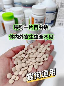 狗狗驱虫没固定频率，需按情况调整（狗狗多久要体内驱虫一次）