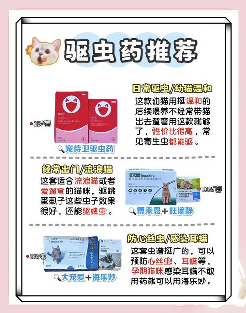 猫咪驱虫后注意事项，饮食饮水要注意！（猫做了体外驱虫有什么注意事项）