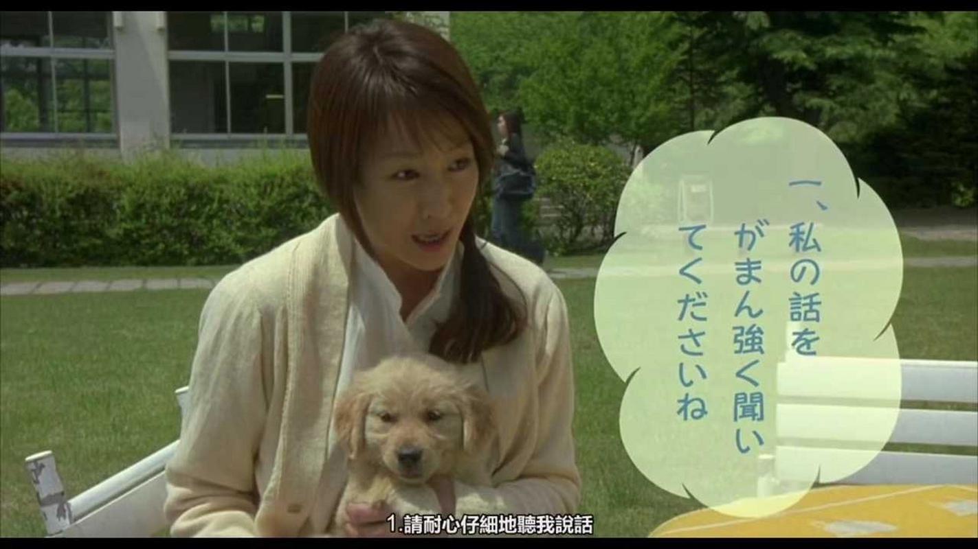 和狗狗的十个约定，责任与爱的承诺（和狗狗的十个约定）