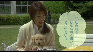 和狗狗的十个约定，责任与爱的承诺（和狗狗的十个约定）