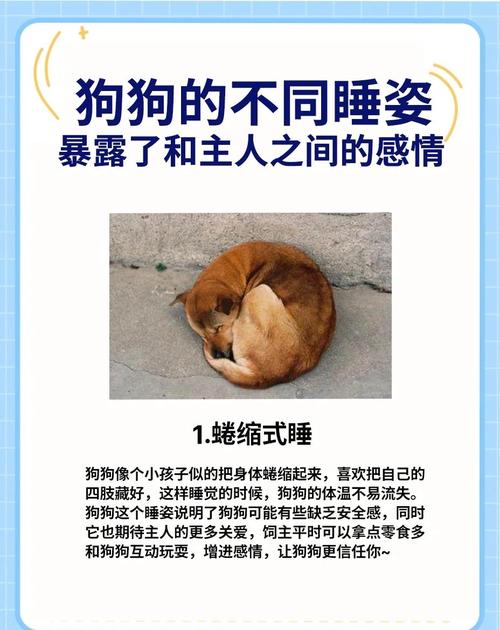 原因与解决方法（狗狗为什么要睡在尿盆）