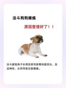 狗狗后腿瘸了怎么办？主人心里要明白！（小狗狗后腿瘸了该怎么办）