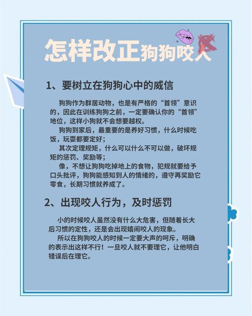 耐心引导，重建信任（狗狗胆小怕人怎么办）